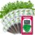 Cilantro Seed Pods for All Hydroponics Growing Systems, 12 Pods Herb Kit with 200+ Seeds of Cilantro, Grow Your Own Herb Garden at Home