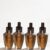 Cinnamon & Clove Buds Plug-In Fragrance Refill, Scented Oil Air Freshener, 0.8 fl oz Each, Pack of 4