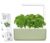 Click & Grow Smart Garden 3 Indoor Herb Garden Kit with Grow Light, Sage