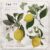 Cocktail Napkins, Eco Friendly Paper Napkins for Decoupage, 40pcs (Lemon Botany)