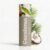 Cocoloma Coconut Lip Balm with Cold Pressed Coconut Oil, Hydrating Flavored Moisturizer for Women, Men and Teens, South Pacific Sourced Natural Ingredients, .38 Oz Stick