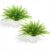 COEWUR Small Fake Plant 15″ Fake Potted Fern Artificial Potted Plants Desk Plant Faux Plants Indoor Small Fake Fern for Shelf Bathroom Home Office Kitchen Coffee Table Indoor Decor