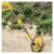 Collapsible Mechanical Distance Measuring Wheel for Construction