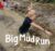 Collins Big Cat Phonics for Letters and Sounds – Big Mud Run Big Book: Band 02A/Red A