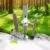 Compact 30W Brushless Wind Turbine Generator Kit, Portable DIY Permanent Magnet Model for Renewable Energy Education & Home Science Projects