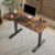 Computer Desk, Electric Standing Desks for Bedrooms