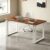 Computer Desk Writing Desk for School and Home