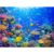 Coral Reef with Tropical Fish, Jigsaw Puzzle for Adults, 1000 Pieces