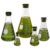 Corning Pyrex #4980-PACK(RS), Narrow Mouth Erlenmeyer Flask Set with Rubber Stoppers, 5 Sizes – 50, 125, 250, 500, 1000ml