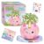 Creativity for Kids Plant-A-Pet: Unicorn| Green Thumb Summer| Mini Unicorn Gifts for Girls & Kids Activities (Ages 6+) (Pack of 6)
