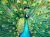 Cross & Glory | 1000 Piece Jigsaw Puzzles for Adults | Emerald Peacock