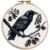 Crow Cross Stitch Kits for Beginners Adults,11 CT Patterns Dimensions Embroidery Kits Arts Craft Kits, Home Decor 13.7 x 13.7in,35x35cm（12 A