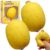Crunchy Banana Squishy, Short Chubby Banana Stress Ball for Adults，2 PCS