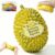 Crunchy Durian Squishy ASMR, Squeeze Fidget Toys for Stress Anxiety Relief.