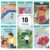 CTP Fonéticos Decodable Readers Set 2 Spanish Books that support the Science of Reading (#11051 Creative Teaching Press)