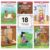 CTP Sound-It-Out Stories Decodable Readers Set 2 Books that support the Science of Reading (#11050 Creative Teaching Press)