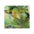 CuppaClip Coloring Book for Adults Kids Fantastic Animal Coloring Book Relaxation & Education Art Activity Hardcover Art Painting Workbook(Without Paper Paint)