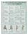 Daily Seated Chair Yoga Canvas Poster for Seniors Easy Stretch Routine Workout Living Room Bedroom Wall Decor 12×18 Inch