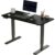 Daklpiw 55 x 24 Inchs Electric Standing Desk, Height Adjustable, Sit Stand Up, Computer Office Desk with Splice Board, Sit and Stand Up Adjustable Desk (Black)