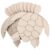 DECHOUS 30pcs Unfinished Turtle Wood Cutouts Multipurpose Decor for DIY and Home Use, Beige Wooden Sea Animal Craft Slices with Ocean Theme Appeal, for Arts and Crafts Projects