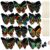 Deekin 72 Pcs Scratch Art Butterfly Kits Bulk for Kids Rainbow Paper Scratch Craft Cards with 36 Bamboo Stylus, 12 Styles DIY Butterfly Art Party Favors for Classroom Birthday Spring Activities