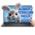 Dell 15 Touchscreen Laptop – Intel Core i7-1355U 16GB DDR5 RAM 512GB SSD