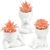 Der Rose Set of 3 Fall Artificial Succulent Plants, Small Fake Plants in Cute Pots, Autumn Room Decor for Bathroom, Bedroom, Office Desk, Shelf