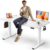 DeskShow White 63×30 in Electric Standing Desk, 1 Inch Thick Tabletop