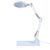 Desktop Magnifying Glass with LED Light Mechanical Support Arm Universal Workbench