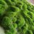 DHDHSHB Fake Moss 1x1m(3.2×3.2ft) Artificial Moss Mat DIY Sheet Moss for Art Wall Florist Decor Balcony Deck Patio Backyard Indoor Outdoor Decor