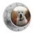 Digital Kitchen Timers Magnetic Visual Timer White Labrador