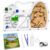 Dinosaur Egg Ant Farm Castle, Clear Acrylic Sand Habitat with Dual Chambers and Large Viewing Area, Ant Colony Observation Kit, Educational Science Kit for Adults & Ant Enthusiasts