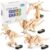 Dinosaur STEM Kits for Kids Ages 8-10-12, 4 in 1 Wood Building Toys for Boys Age 8-12, Build It Yourself Woodworking Kit, DIY 3D Wooden Puzzles Model Science Crafts for Kids, Stem Projects