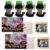 Disney Dining Package Drink Slings (4-Pack) and Autograph Book Photo Album (2-Pack) Combo