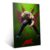 Displate Metal Poster Street Fighter Alex Magnetic Mount M