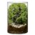 DIY Large Moss Terrarium Kit, Borosilicate Glass Ecosystem Bottle for Indoor Plants, Moss Micro Landscape with Material Pack and Tools Included, 5.9 x 3.9 in Gift