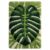 DIY Latch Hook Rug Kit Monstera Leaf 38x52cm-1