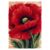 DIY Latch Hook Rug Kit Red Poppy Flower 38x52cm-1