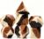 DNDND Coffee Scented Silicone Dice Set, 7PCS Soft Rubber D&D Dice with Clear Display Case, Coffee Fragrance Polyhedral RPG Dice for Dungeons and Dragons Tabletop Games