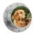 Dog Golden Retriever Kitchen Timers Loud Alarm Magnetic Timer