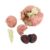 Domary Anatomical Human Brain Model for Education Colorful Plastic Assembled Teaching Tool 1pc
