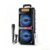 Dual bass Speaker, Wireless Connection, RGB Lighting, Microphone, Remote Control