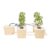 DWC Hydroponics Grow System, Kit with 5-Bucket /2.91-Gallon Deep Water Culture, Recirculating Drip Garden System with Submerged Pump for Growing Vegetables, Hydroponics Grow Kit