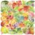DYWHG 50Pcs Natural Leaves Stickers for Scrapbooking Journaling Junk Journal Supplies – Waterproof Transparent PET Holographic Foil Aesthetic Decals for Resin Crafts Decorative Art Crafts (Leaf)
