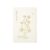 ECVGHD Artistic Memo Book Notepads Memo Pad with 4 Unique Color Themes Suitable for Offices Meetings and Handcraft Projects Pen and Brush Lettering