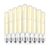 Edison Light Bulbs Dimmable E26 6W Equal 80 Watt LED Bulbs Tubular 9 Pack