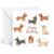 Edition Seidel Premium Square Birthday Card with Envelope. Greeting Card 2026 Happy Birthday Dachshund Party for Him Her Friend (GQ1130 SW026)