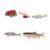 EHJRE 3X Life Cycle of Salmon Toys Animal Growth Cycle Set Science Teaching Tools Farm Animals Figurines for Birthday Gifts Party