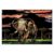 Elephant Scratch Art for Teens & Adults – Rainbow Paint & 3 Tools (15