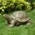 EMOBACO 30.51″ Long Realistic Tortoise Figurine, Resin Turtle Garden Statue, Weather-Resistant Indoor/Outdoor Sculpture Decor for Nature Decor & Themed Displays, Landscape Art